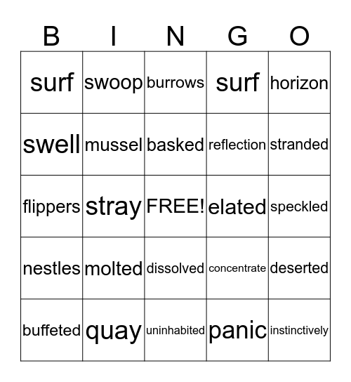 Seal Surfer Vocabulary Bingo Card