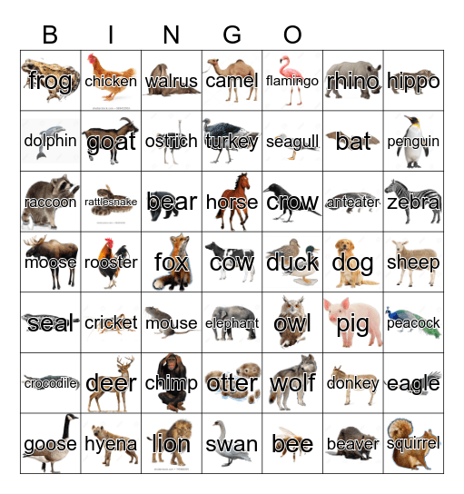 Animal Bingo Card