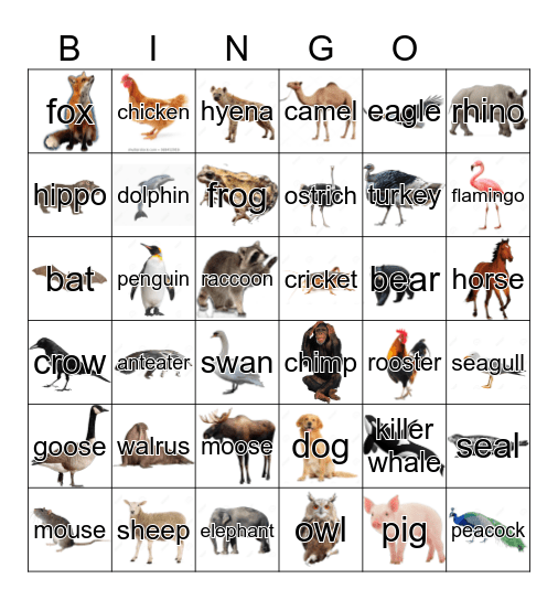 Animal Bingo Card