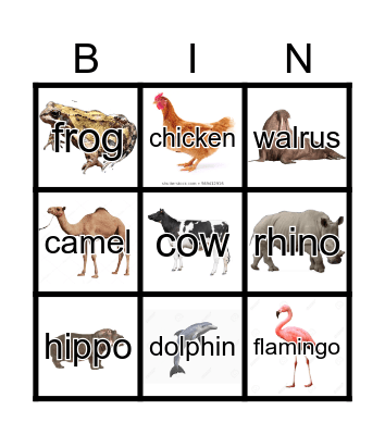Animal Bingo Card