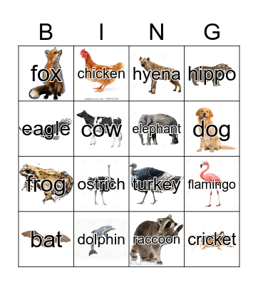Animal Bingo Card