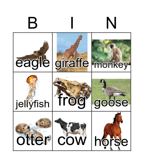 Animals Bingo Card