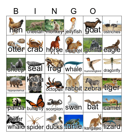 Animals Bingo Card