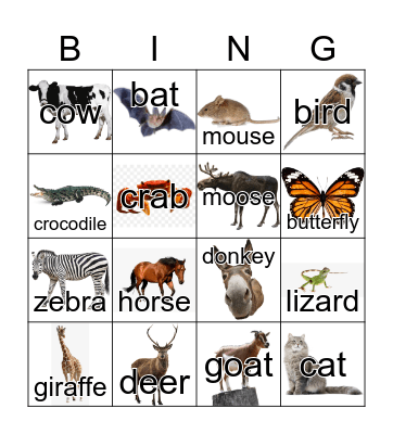 Animals Bingo Card