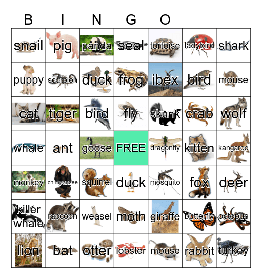 Animals Bingo Card