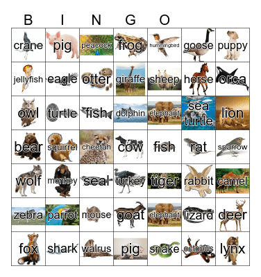 Animals Bingo Card