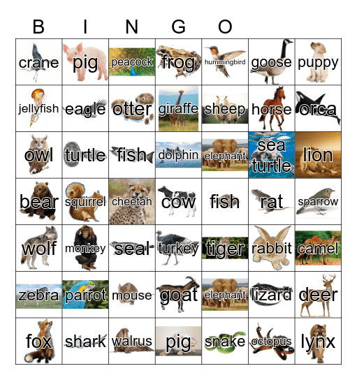 Animals Bingo Card