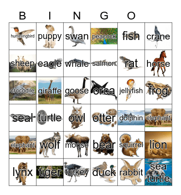 Animals Bingo Card