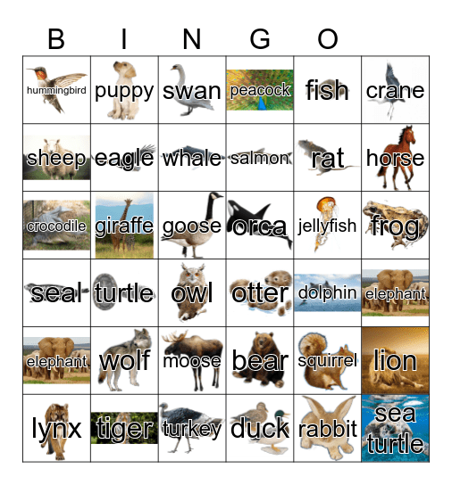 Animals Bingo Card