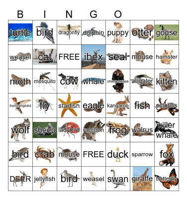 Animals Bingo Card