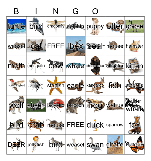 Animals Bingo Card