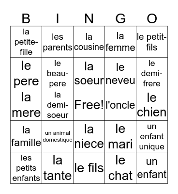 French family vocabulary Bingo Card