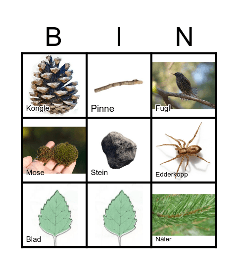 Naturbingo Card