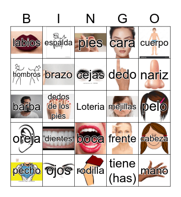 Partes Del Cuerpo Bingo Card