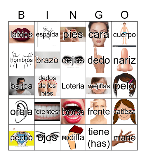 Partes Del Cuerpo Bingo Card