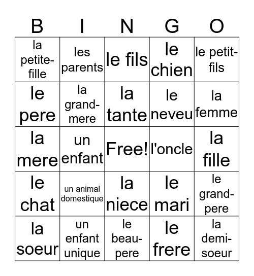 La famille francaise Bingo Card