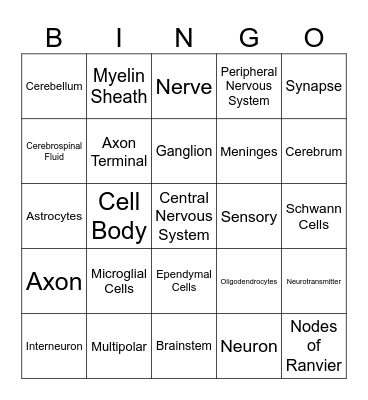 Nervous System Bingo Card