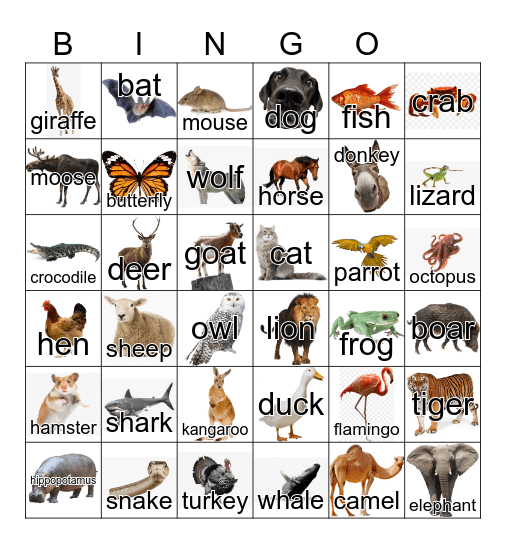 Animals Bingo Card