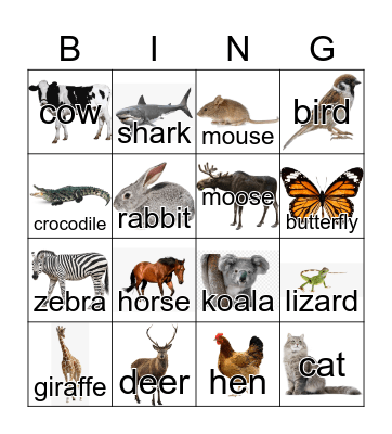 Animals Bingo Card
