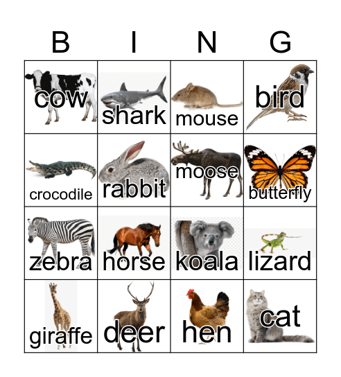 Animals Bingo Card