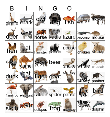 Animals Bingo Card