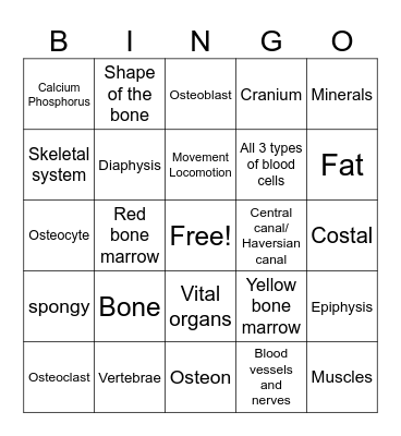 Skeletal System-I Bingo Card