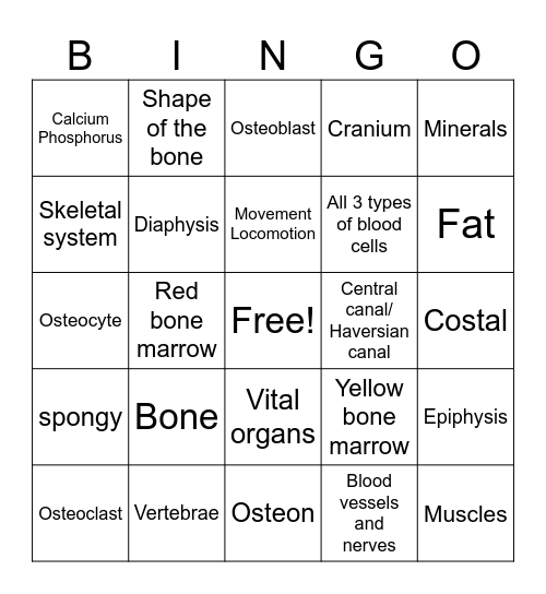 Skeletal System-I Bingo Card