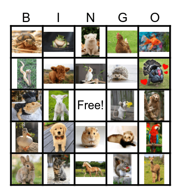 PETS🐶🐱🐰 Bingo Card
