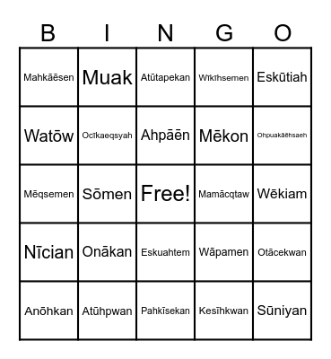 Vocabulary Bingo Card