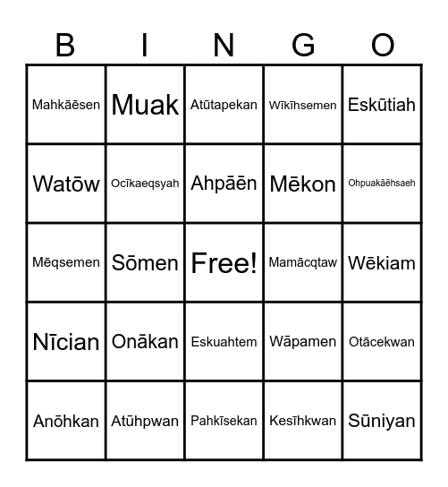 Vocabulary Bingo Card