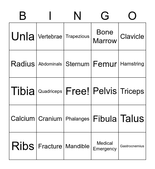 Bones and Muscles Bingo Card