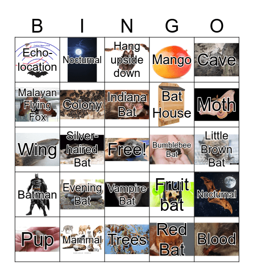 Bats Bingo F9 Bingo Card