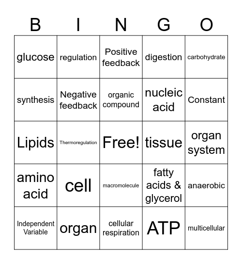 Review Quarter 1 Bingo Card