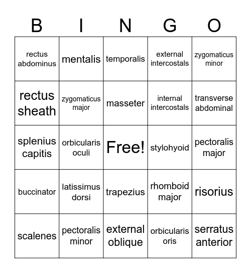 Muscle Bingo - Axial Bingo Card
