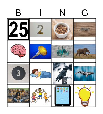 BRAIN BINGO Card