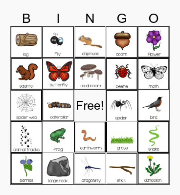 Nature Bingo Card