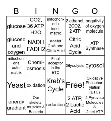 AP BIOLOGY CELLULAR RESPIRATION Bingo Card