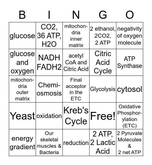AP BIOLOGY CELLULAR RESPIRATION Bingo Card