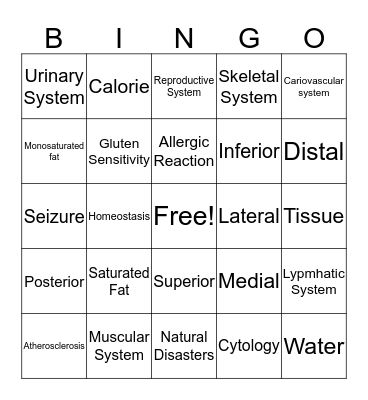 110 Final Review Bingo Card