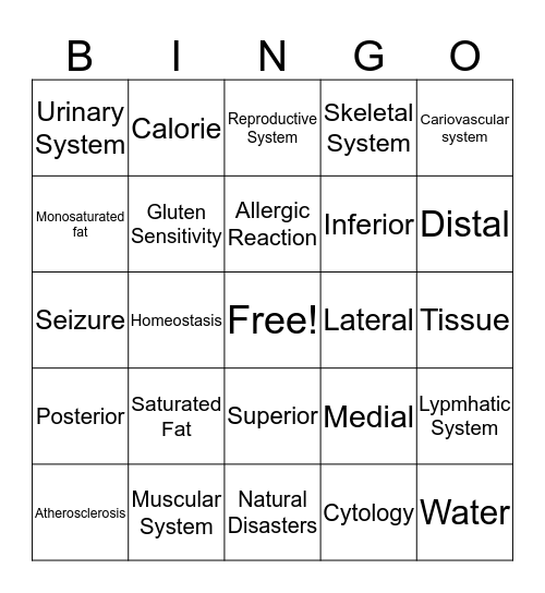 110 Final Review Bingo Card