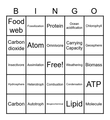Nutrient Cycling and Ecology Bingo Card