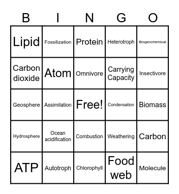 Nutrient Cycling and Ecology Bingo Card