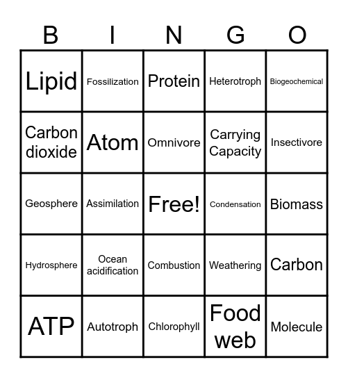 Nutrient Cycling and Ecology Bingo Card