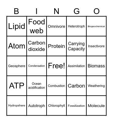 Nutrient Cycling and Ecology Bingo Card