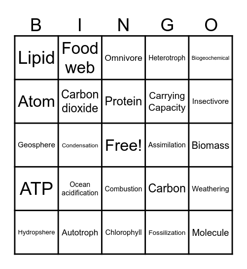 Nutrient Cycling and Ecology Bingo Card