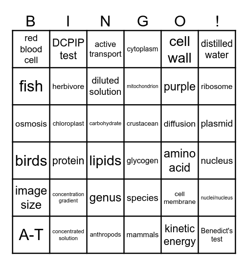 IGCSE Midterm Review Bingo Card