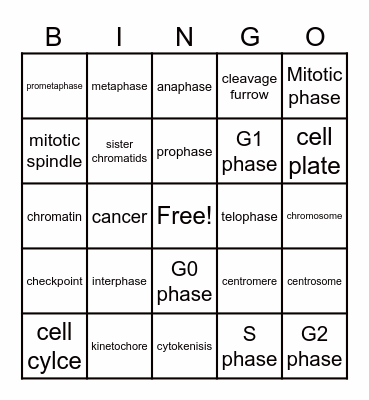 eukaryotic cell cycle and mitosis Bingo Card