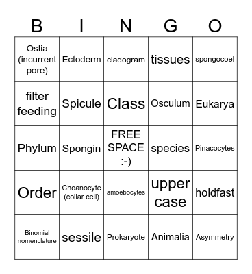 Classification and Porifera Bingo Card