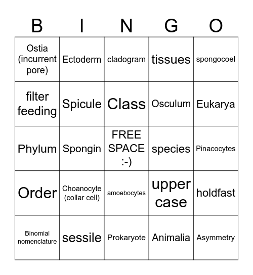 Classification and Porifera Bingo Card