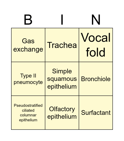 BINGO GAME “ From nose to alveoli ” Bingo Card